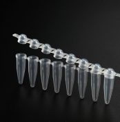 0.2 ml thin wall 8-strip PCR Tubes, domed shielded caps