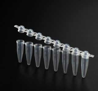 0.2 ml thin wall 8-strip PCR Tubes, domed shielded caps