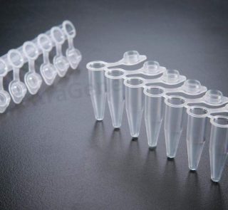 0.2 ml thin wall 8-strip PCR Tubes, individual shielded caps1